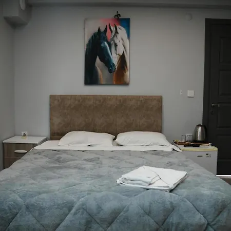 Apartmanhotel Birds