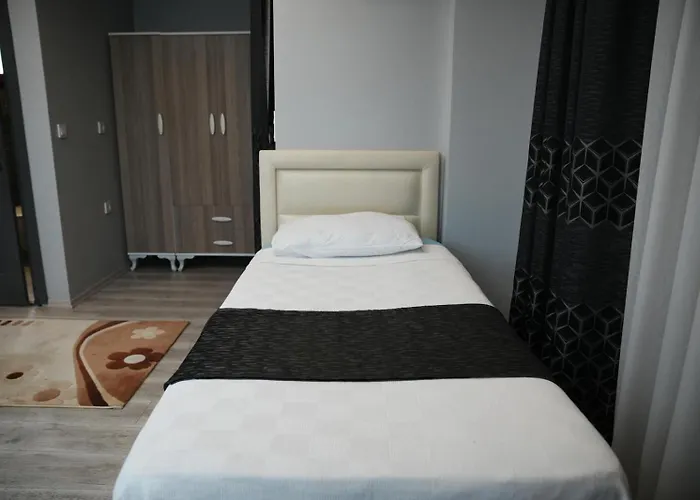 Birds 3* 쿠사다시